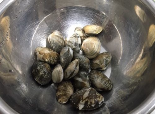 Image: asari clams immersed in water