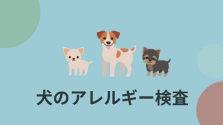 犬のアレルギー検査とは どんなことを検査するの