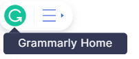 Grammarly Home (My Grammarly)