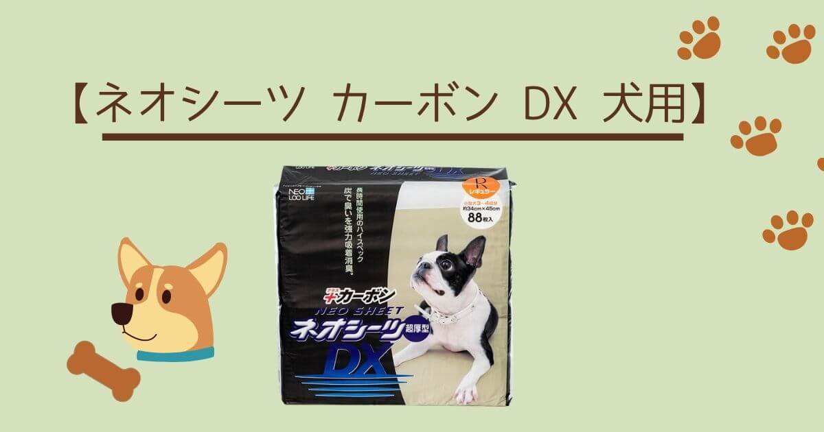 犬用のトイレシートのおすすめベスト3選をご紹介