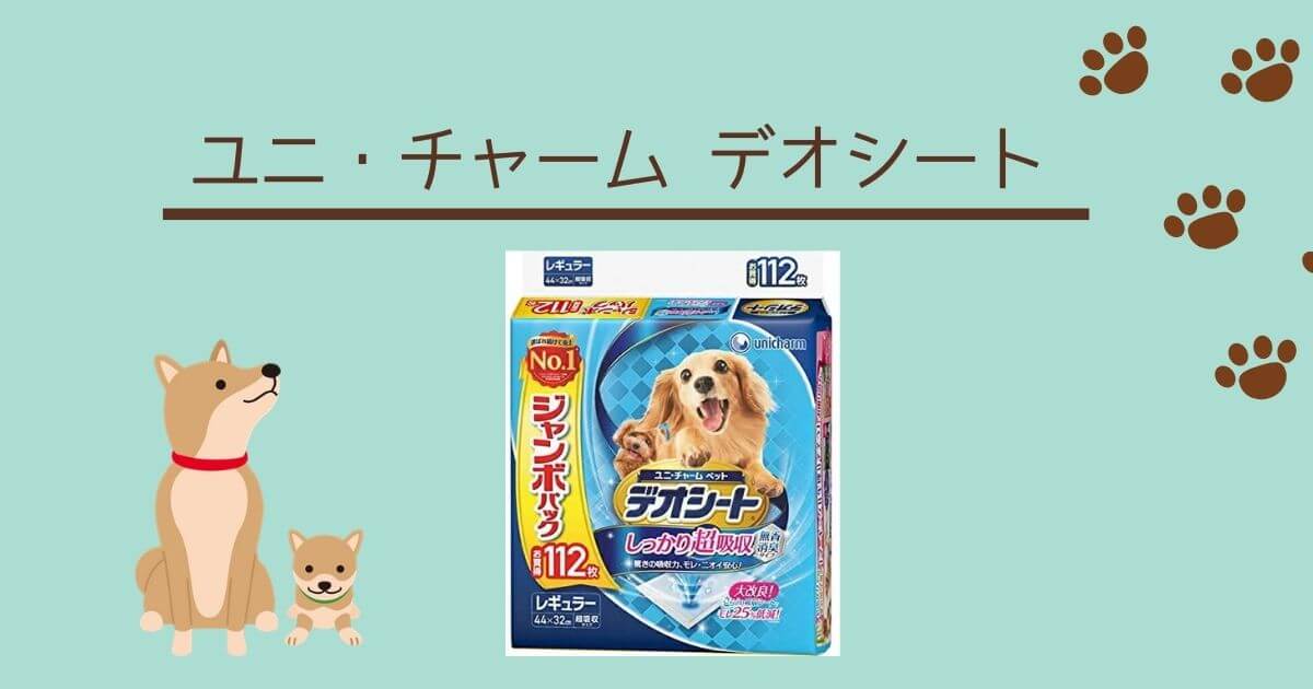 犬用のトイレシートのおすすめベスト3選をご紹介