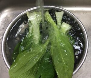 チンゲン菜水で洗う